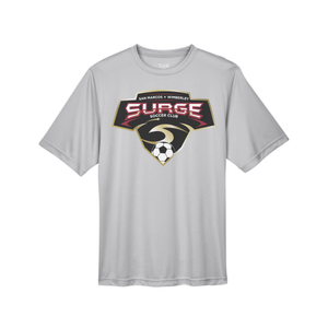 Surge Dri-Fit Silver - Team 365